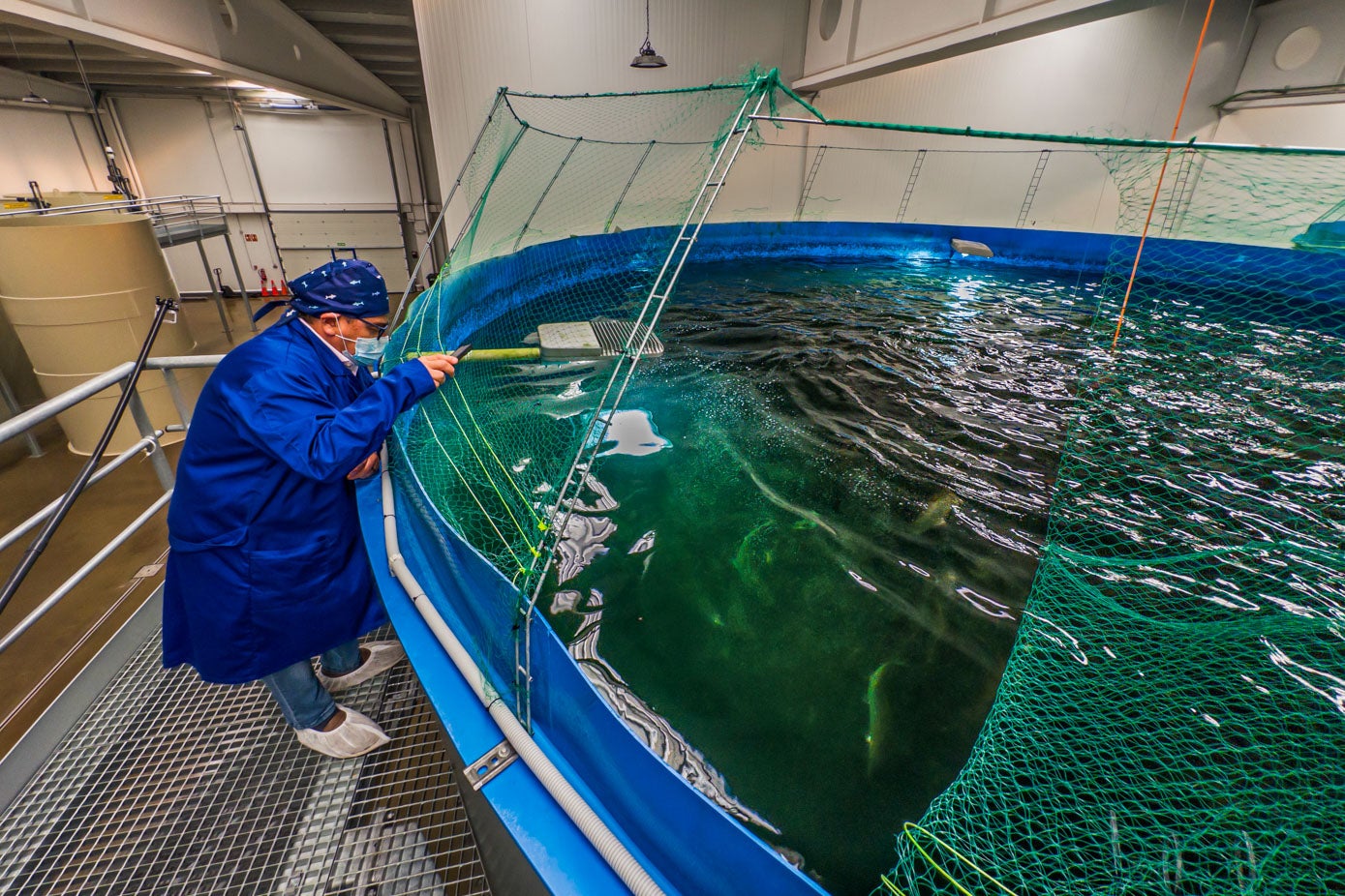 Los promotores quieren invertir otros 25 millones para llegar a las 3.000 toneladas anuales.