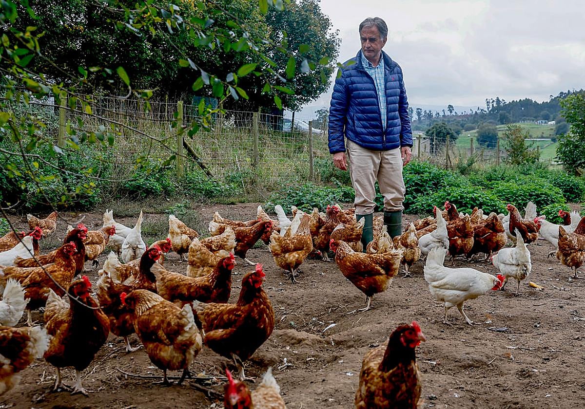 Germán Castellano, en la granja de huevos ecológicos que regenta en el pueblo de La Busta (Alfoz de Lloredo).