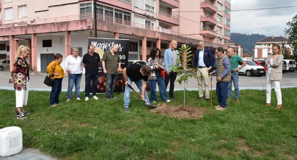 En el lugar se colocará una placa que recordará el año de declaración de las magostas como Fiesta de Interés Regional.