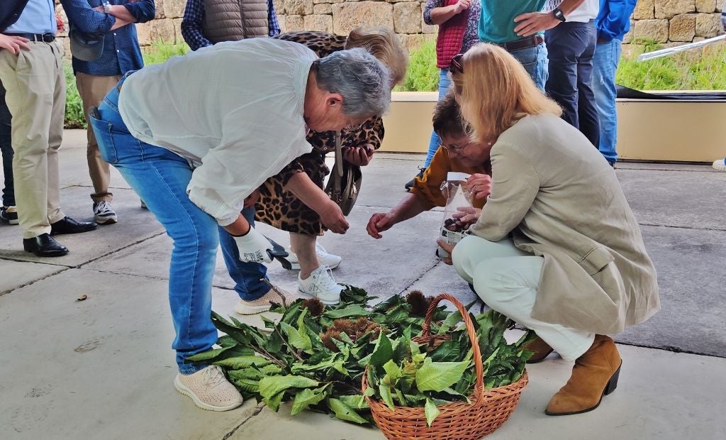 En la presentación se pudieron ver los primeros frutos de Coo de las Castañas.