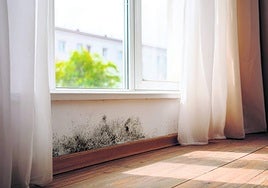 Detecta la humedad antes de que arruine tu hogar: el informe preventivo que todos los edificios mayores de 10 años necesitan