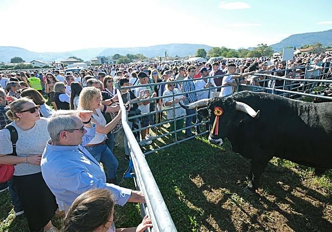 Un año más, la cita congregó a numeroso público.