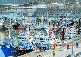Vista panorámica del puerto pesquero de Santoña.