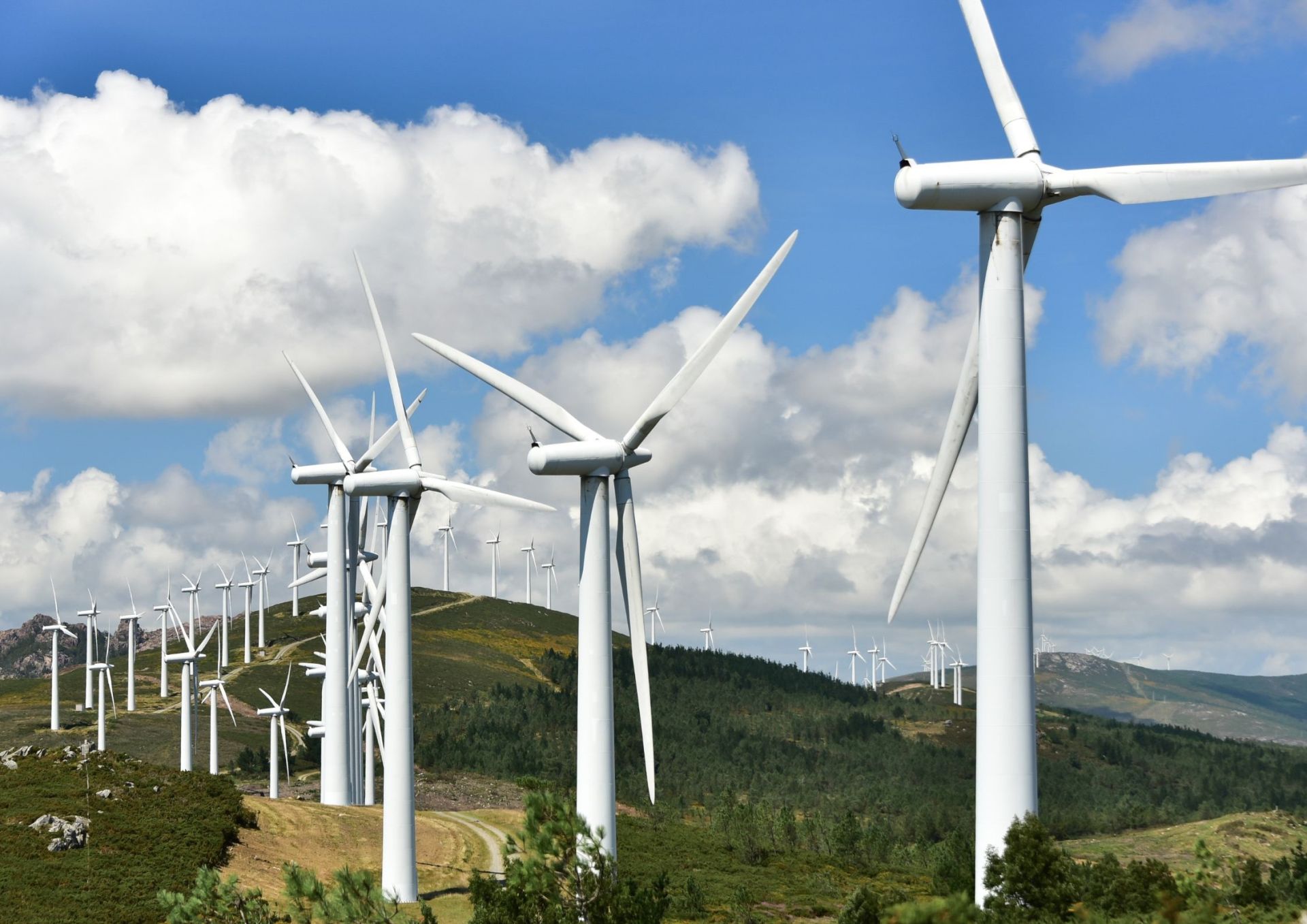 Simulación de un parque eólico.