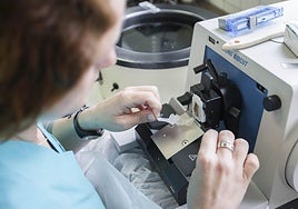 Una técnico de laboratorio analiza una muestra en Valdecilla.