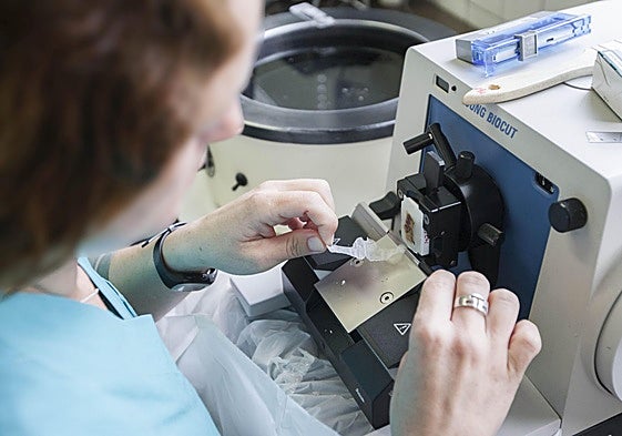 Una técnico de laboratorio analiza una muestra en Valdecilla.