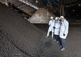 Roberto Media durante su visita a Ferroglobe Spain Metals S.A.U. en Boo de Guarnizo.