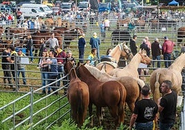A esta feria acude sobre todo ganado equino.