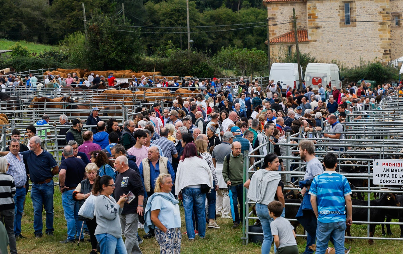 El público abarrota la zona donde se han concentrado los animales.