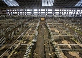 El mercado de ganados de Torrelavega.