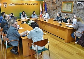 Sesión plenaria celebrada este jueves en Cartes.