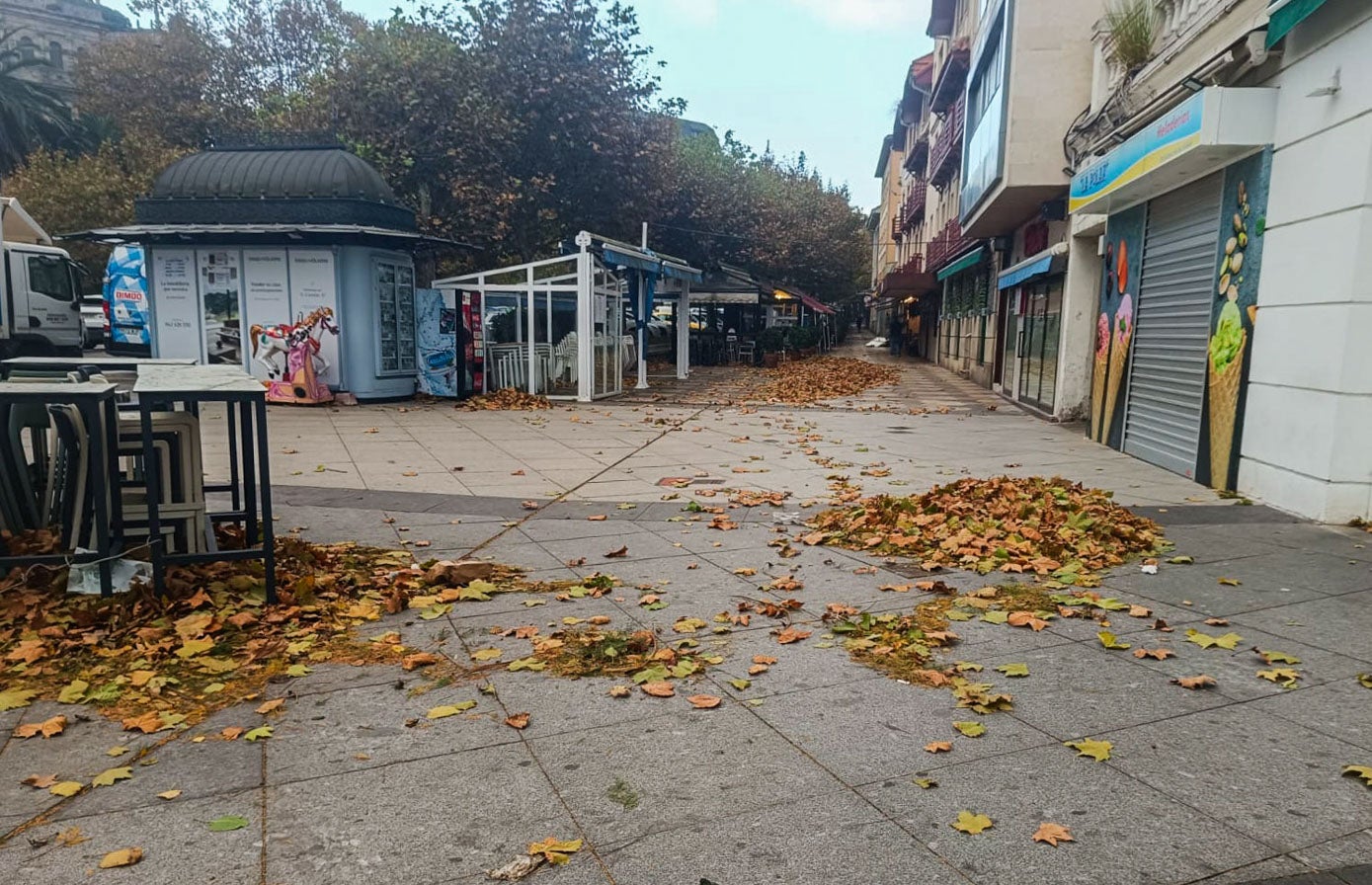 Manto de hojas en la zona de la Cañía, junto a la plaza de Italia.