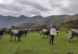 Una mujer del Valle del Nansa con su hijo cuidando del ganado.
