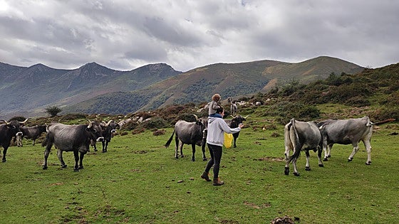 El Valle del Nansa celebrará el Día de la Mujer Rural en Puentenansa