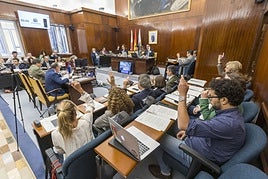Una de las votaciones del Pleno.