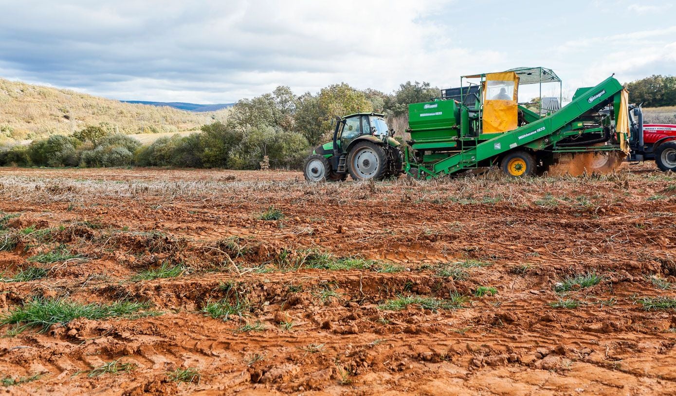 La tierra presenta un aspecto totalmente diferente al del año pasado.