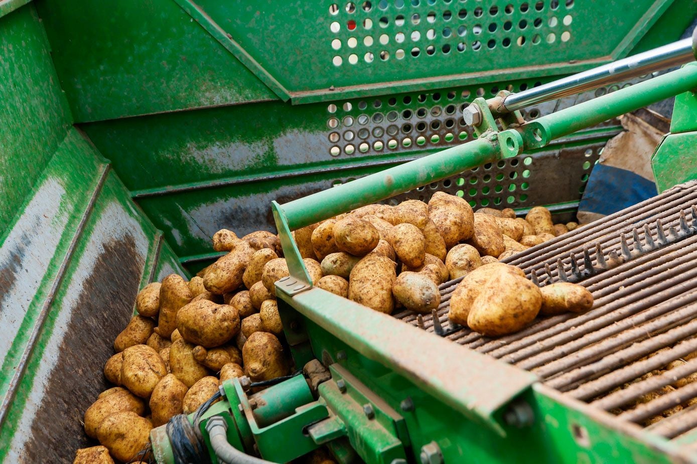 De la tierra a la cosechadora.