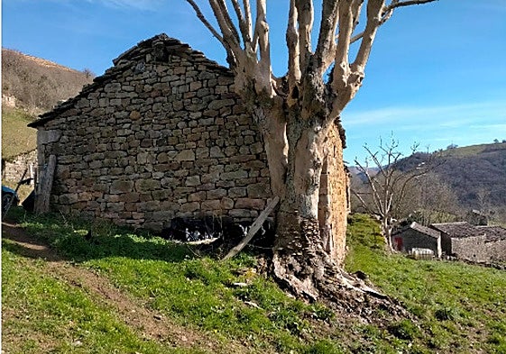 Salvo por un par de viviendas, el barrio en cuestión se encuentra actualmente deshabitado.