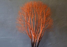 'Natura morta' supone el regreso de Daniel R. Martín a la galería. En la imagen, 'Acer aridam'. hierro /madera patinados.