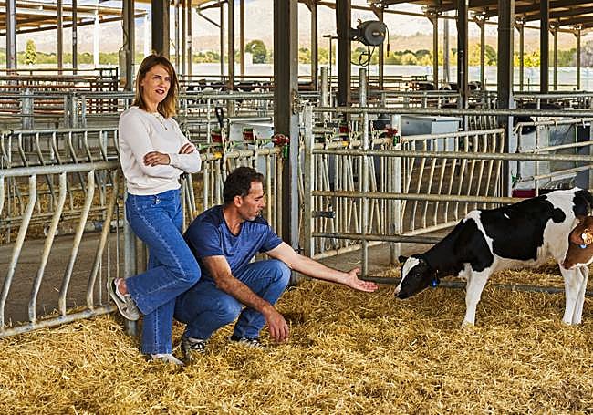 Lidia Entrecanales y Ramón Morla, con dos novillas dentro de la explotación.