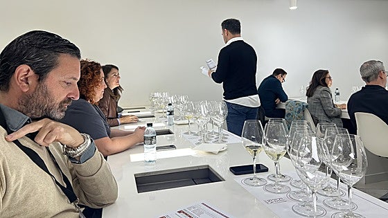 La añada 2024 de Ribera del Duero, calificada como 'Muy Buena'
