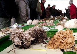 Imagen de una edición anterior de esta cita anual.