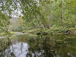 En varios puntos del recorrido, el Nansa está justo al lado del camino