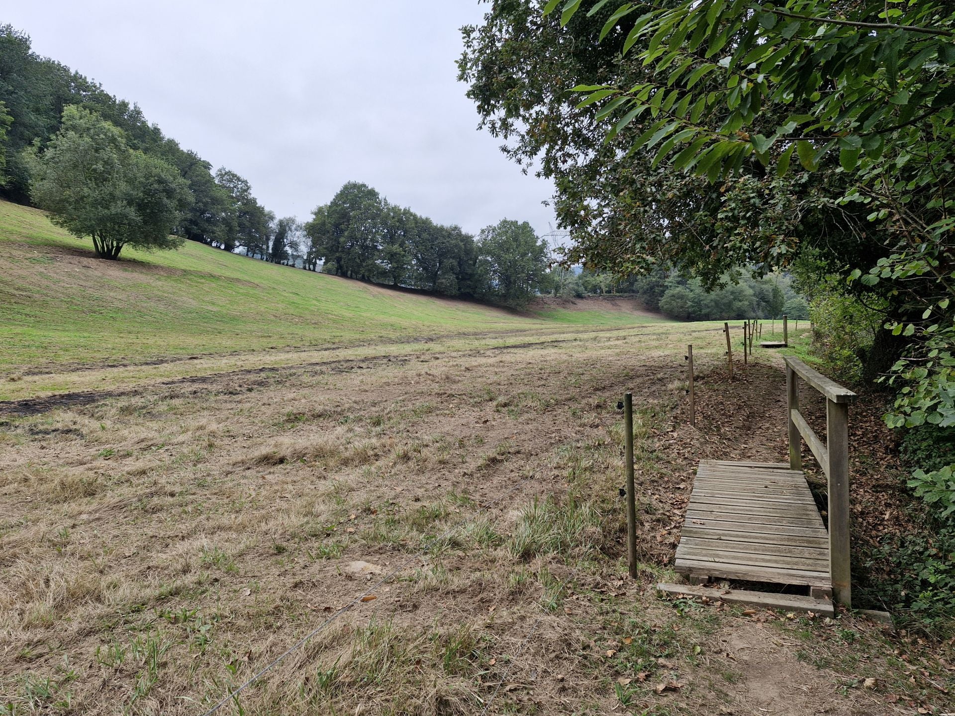 El camino discurre también junto a parajes más abiertos, como el de este prado.