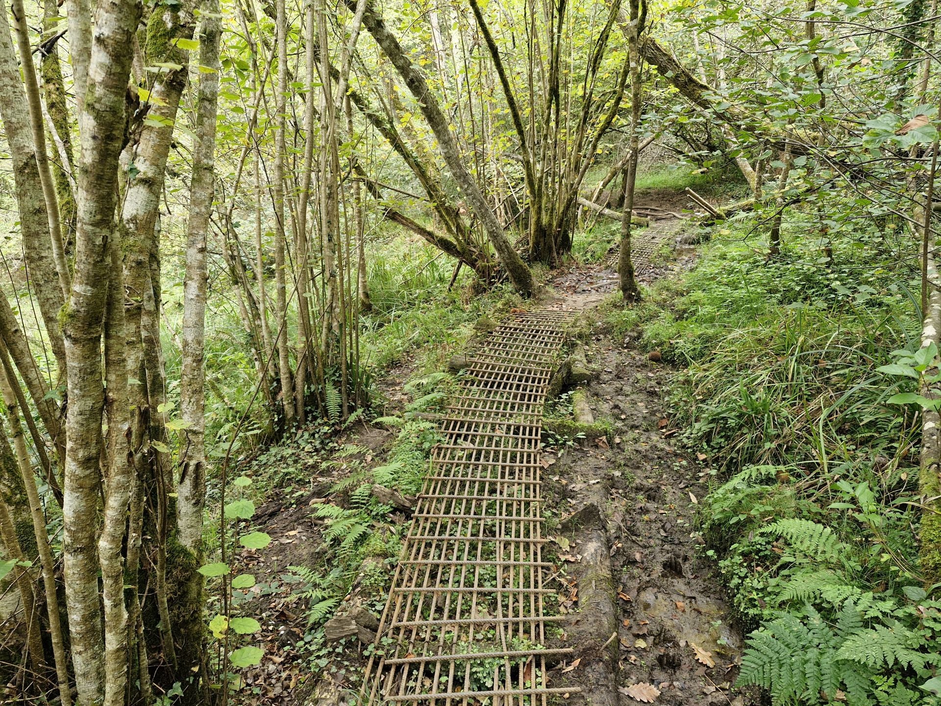 Hay bastantes ayudas a lo largo del recorrido para salvar algún tramo. 