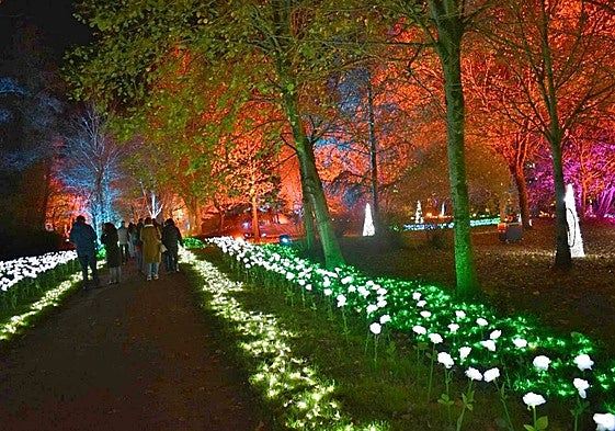 La entrada este año al Parque Mágico de Cartes costará cinco euros en taquilla y seis online.