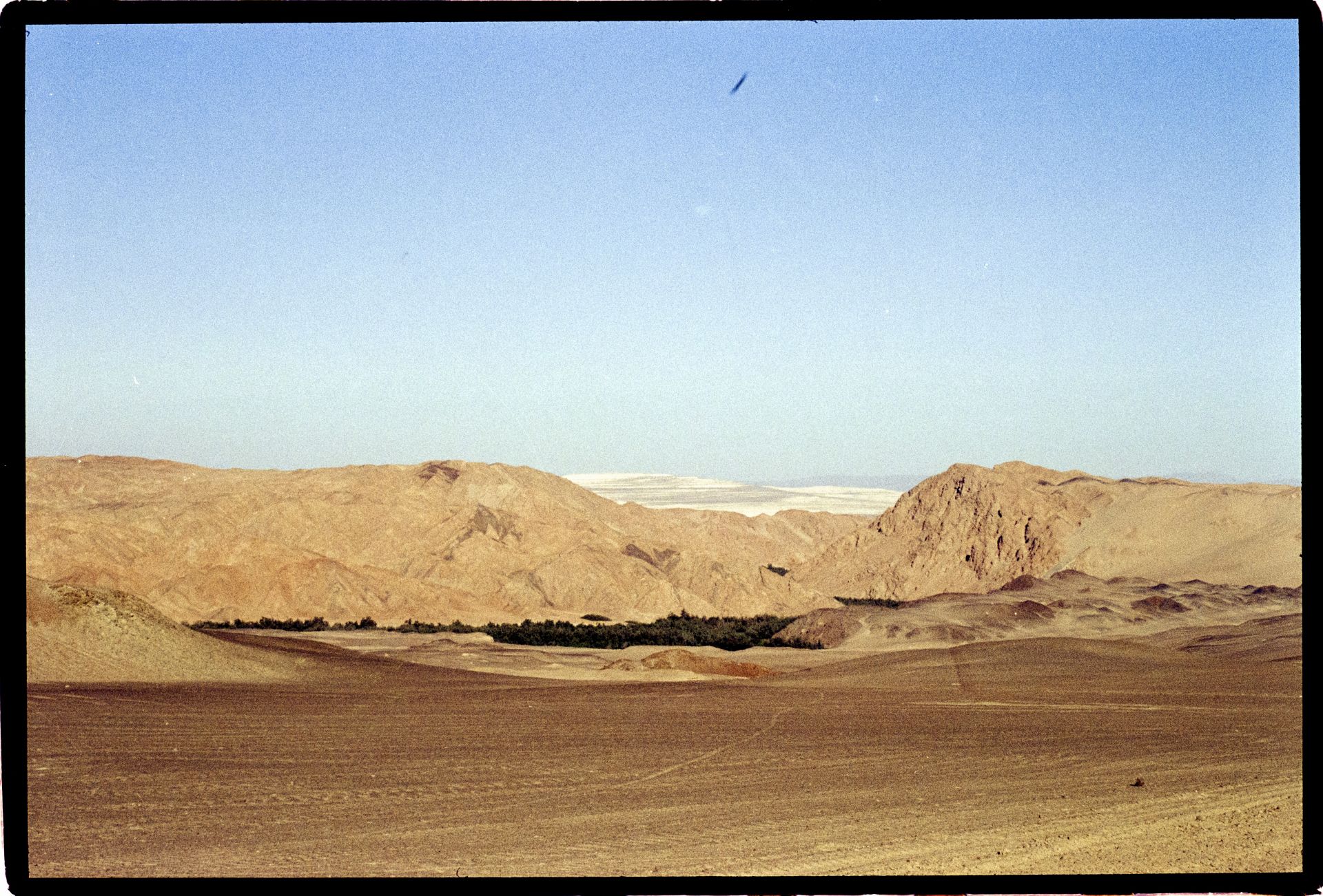Javier Bravo de Rueda. 'OQKG'. Perú, 2024. Fotografía analógica 35 mm.