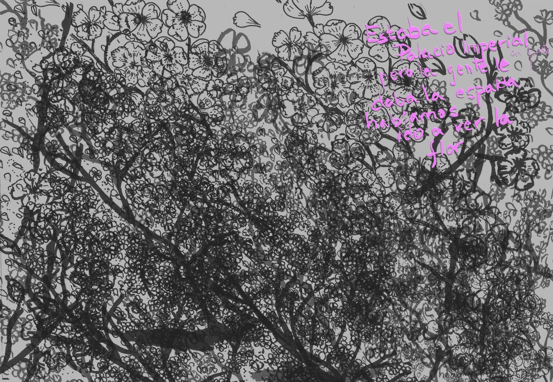 Gele Jeleton. 'Hanami, ver la flor'. Murcia, 2025. Dibujo.