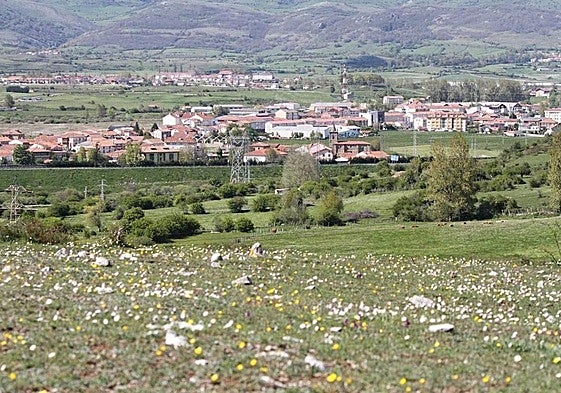 Vista panorámica de Campoo de Enmedio.