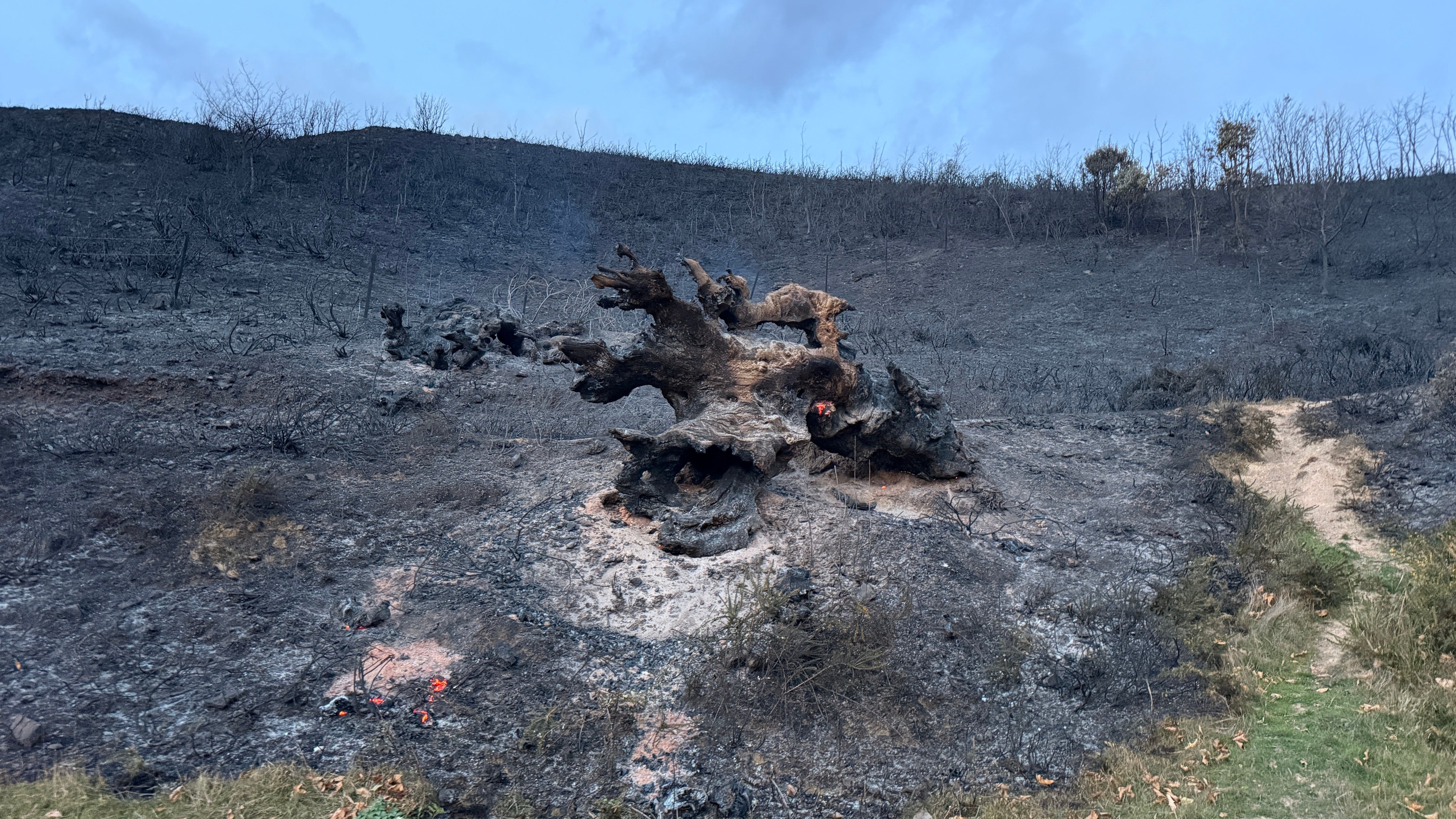 El fuego redujo a cenizas el paraje lebaniego de El Habario.