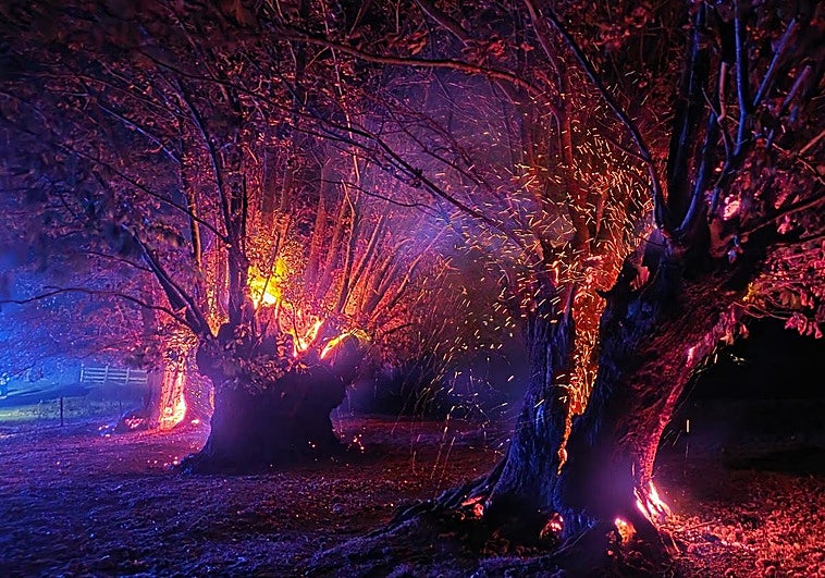 Castaños centenarios de El Habario, pasto de las llamas esta noche.