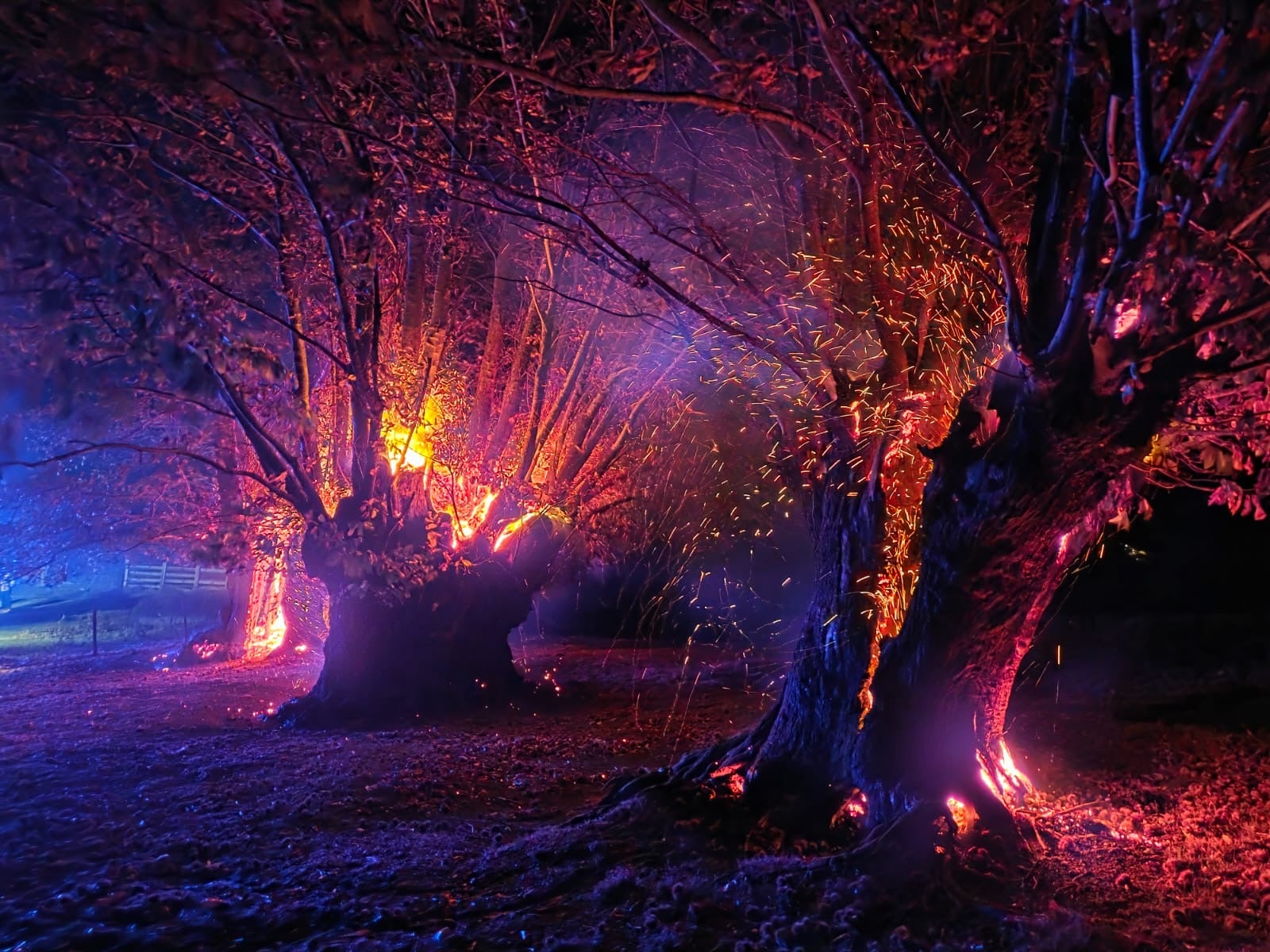 Imagen del incendio de los castaños, anoche, entre Pendes y Cabañes