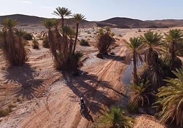 Espectacular imagen aérea de Ricardo Lastra atravesando un oasis, uno de los contrastes de paisaje habituales en las etapas del rally marroquí.