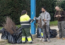 Reparto de árboles en la campaña de 2024.