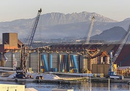Silos de la terminal de graneles del puerto de Santander.