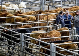 Estas son las cinco noticias del día en Cantabria