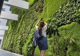 Jardín vertical de Tabacalera.