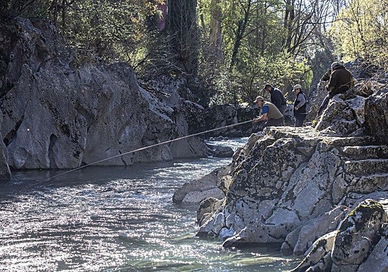 Un grupo de pescadores de salmón, esta temporada en el río Pas a su paso por Puente Viesgo.
