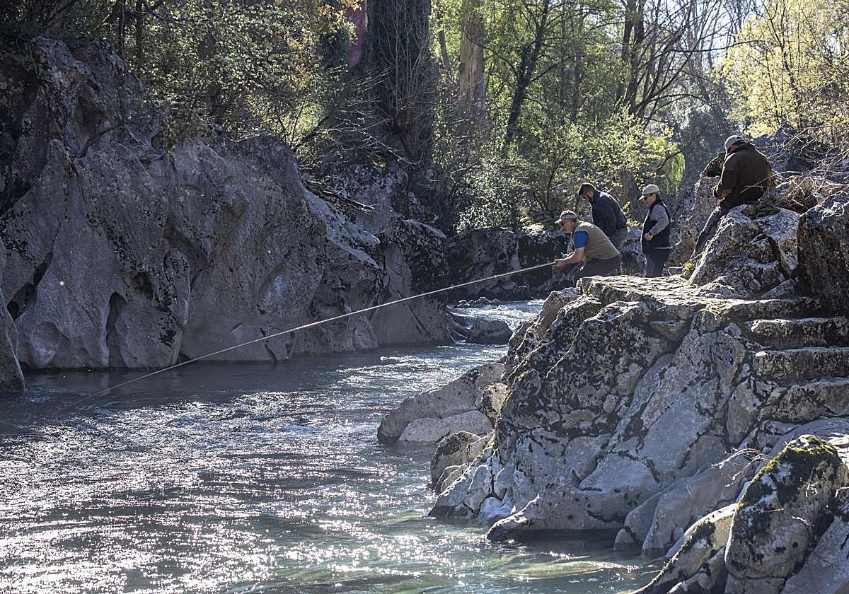 Un grupo de pescadores de salmón, esta temporada en el río Pas a su paso por Puente Viesgo.