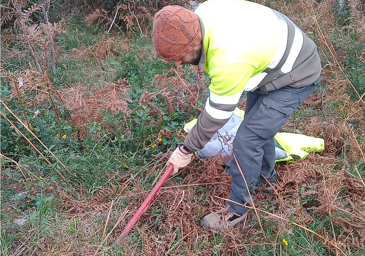 Un operario trabaja en Monte El Moro de Ramales de la Victoria.