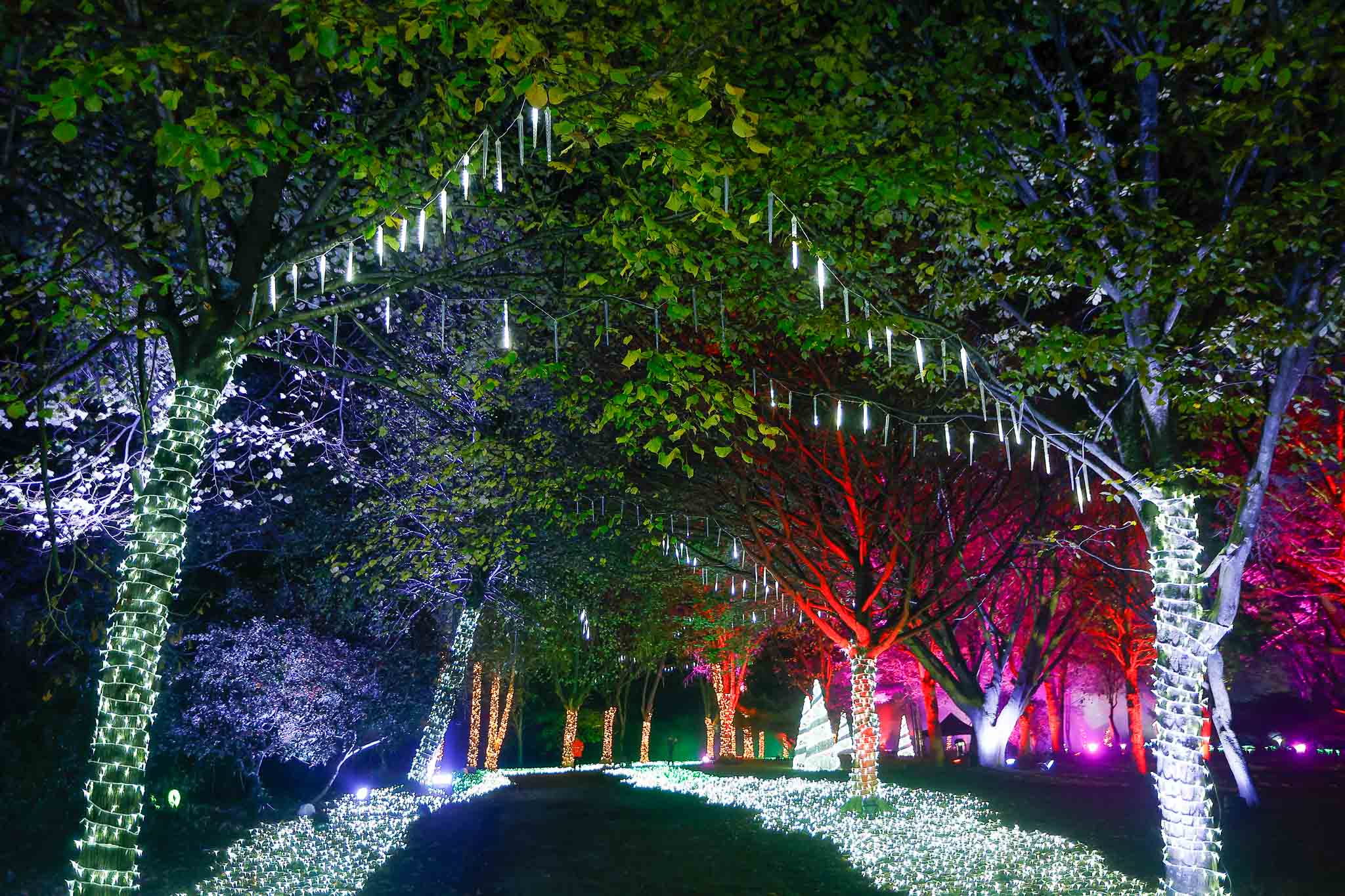 Dos hadas portadoras de polvos mágicos han encendido el Camino Real, uno de los platos fuertes de estas fiestas.