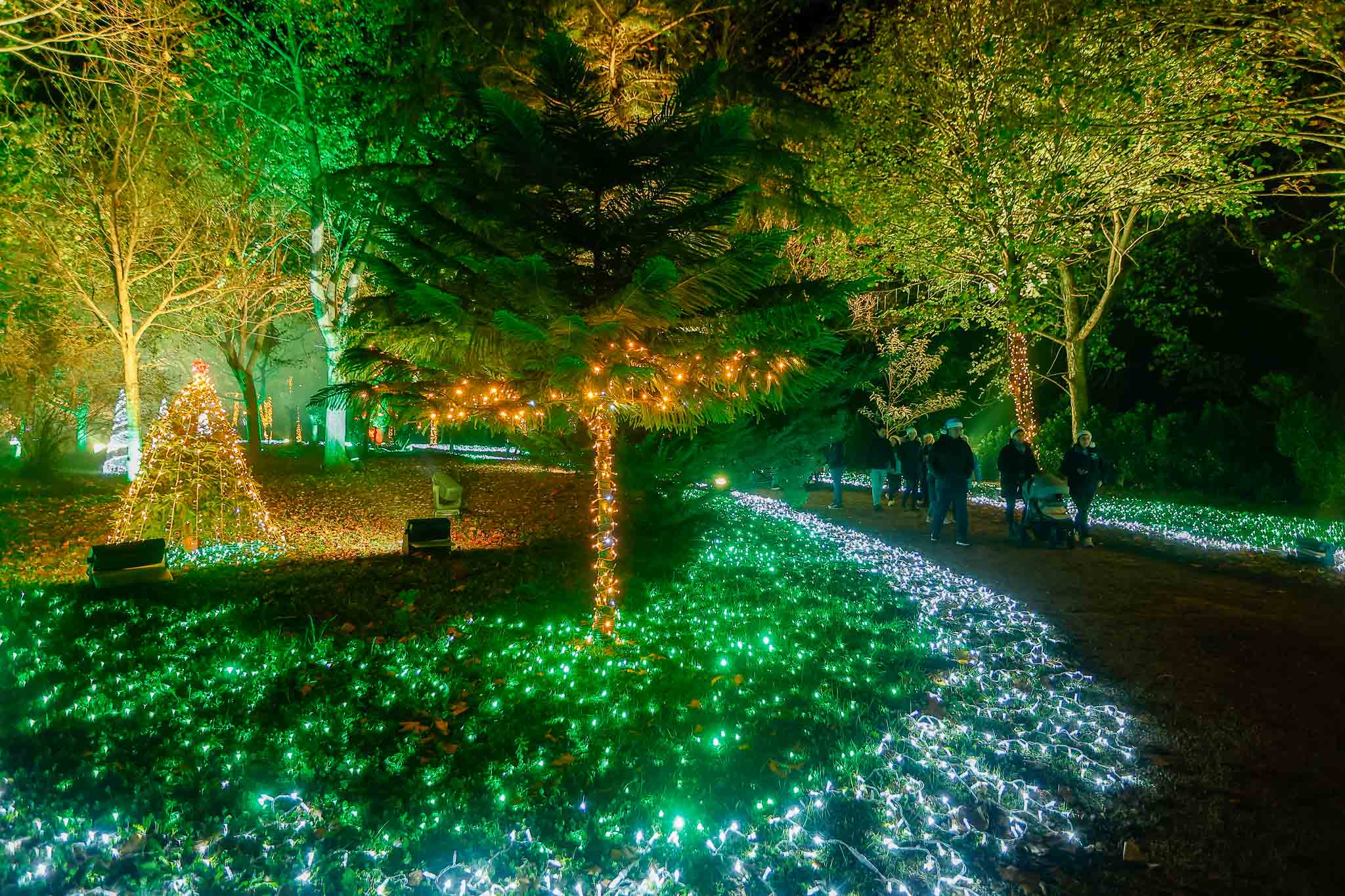 La iluminación se inicia en el Torreón para ir extendiéndose por el Camino Real hasta llegar al iluminado Parque Mágico.