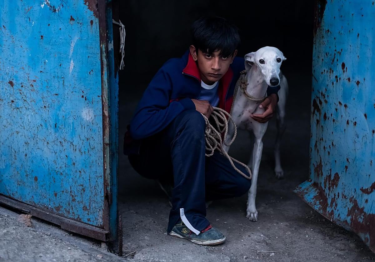Toni, un chico de 15 años, es el protagonista en torno al cual gira la película 'Ciudad sin sueño'