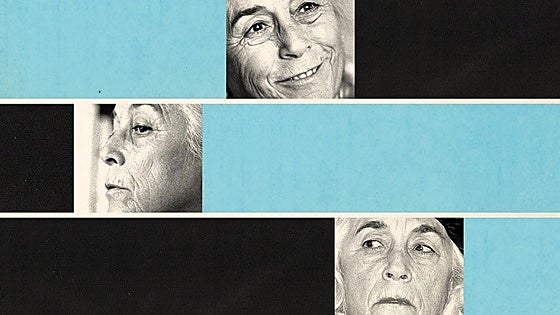 Carmen Martín Gaite. Cada mirada incuba una historia
