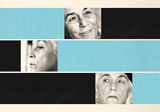 Carmen Martín Gaite. Cada mirada incuba una historia