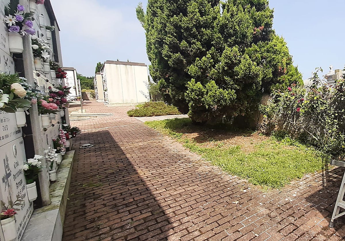 Situación actual del antiguo cementerio civil en Castro.